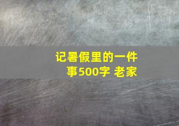 记暑假里的一件事500字 老家